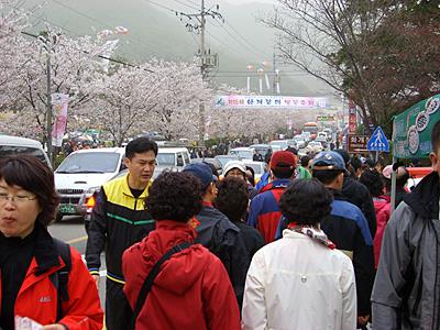 제15회 화개장터 벚꽃 축제 행사장 썸네일 이미지