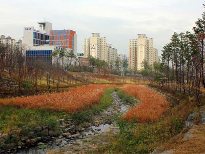 운중공원 옆 운중천 썸네일 이미지