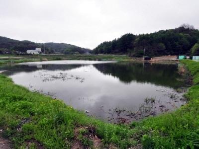 못골저수지 전경 썸네일 이미지