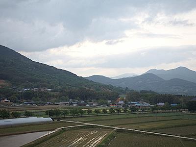 정수리 썸네일 이미지