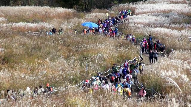 산정호수 명성산 억새꽃 축제 썸네일 이미지