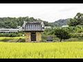 지동리 죽동 성황당 전경 썸네일 이미지