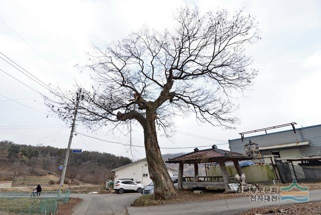 대표시청각 이미지