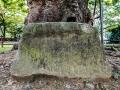 도원동 느티나무 안내석 썸네일 이미지